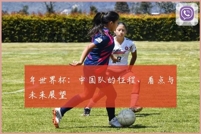 年世界杯：中国队的征程、看点与未来展望