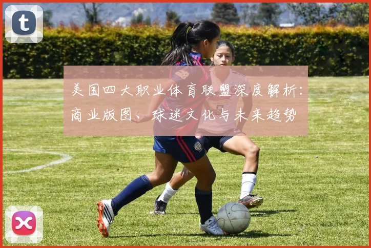 美国四大职业体育联盟深度解析：商业版图、球迷文化与未来趋势