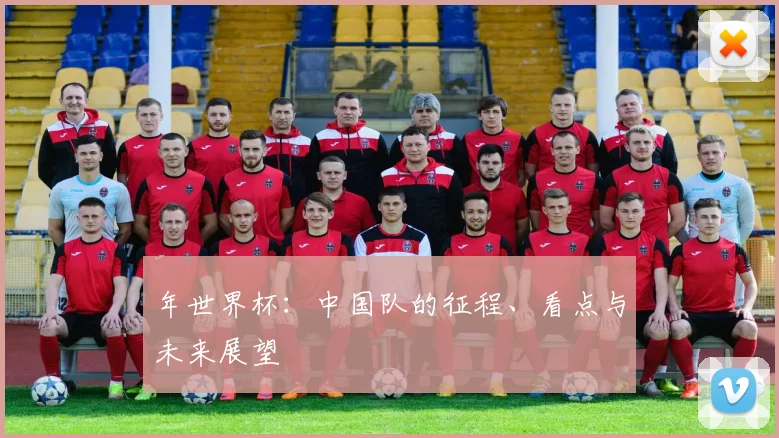 年世界杯：中国队的征程、看点与未来展望